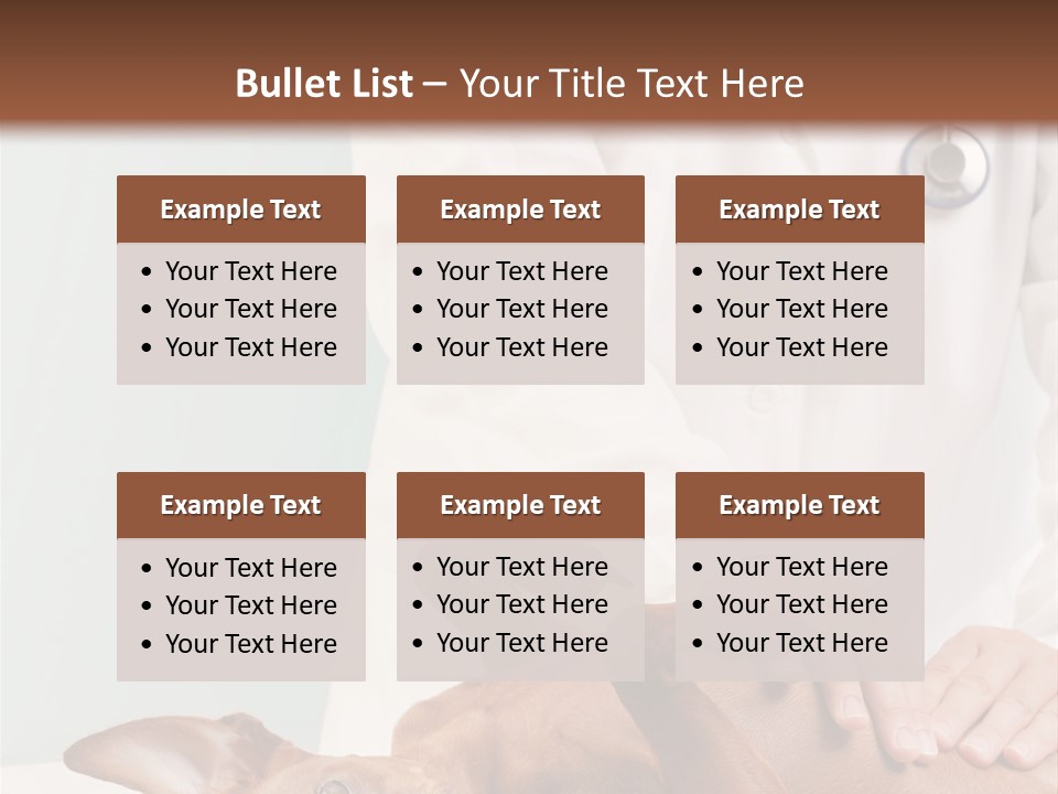 Vet Pet Man PowerPoint Template