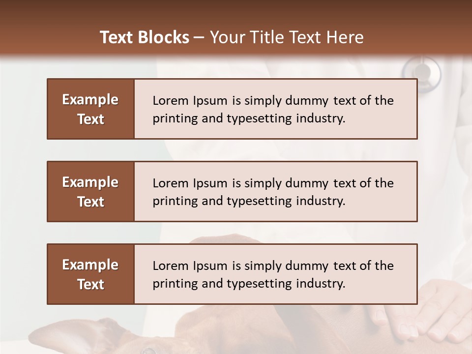 Vet Pet Man PowerPoint Template