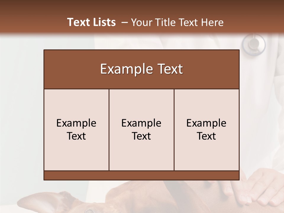 Vet Pet Man PowerPoint Template