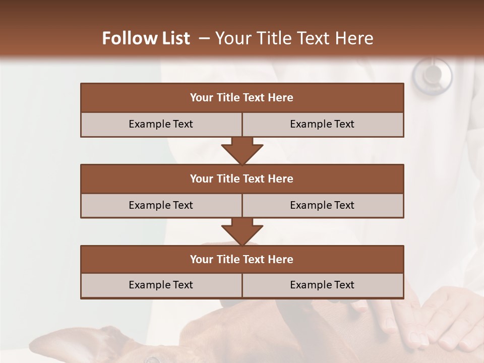 Vet Pet Man PowerPoint Template