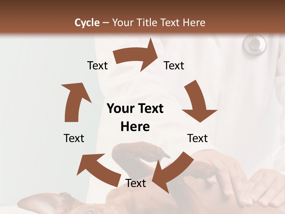 Vet Pet Man PowerPoint Template