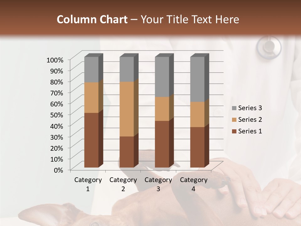 Vet Pet Man PowerPoint Template