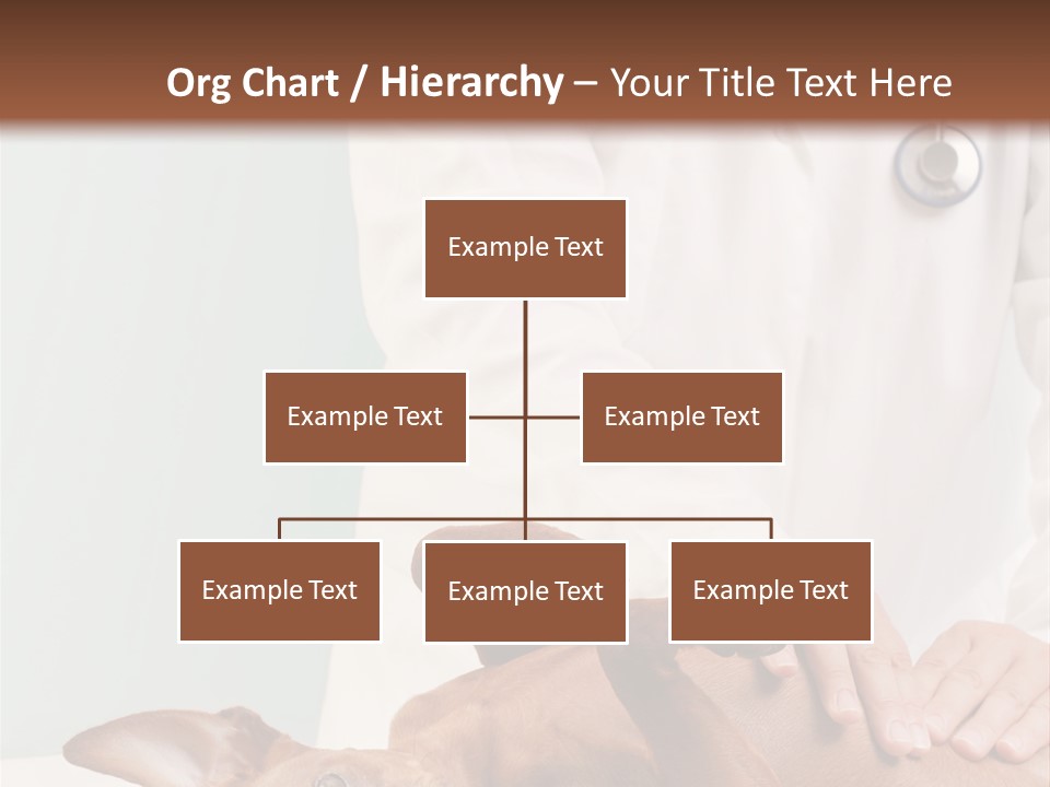 Vet Pet Man PowerPoint Template