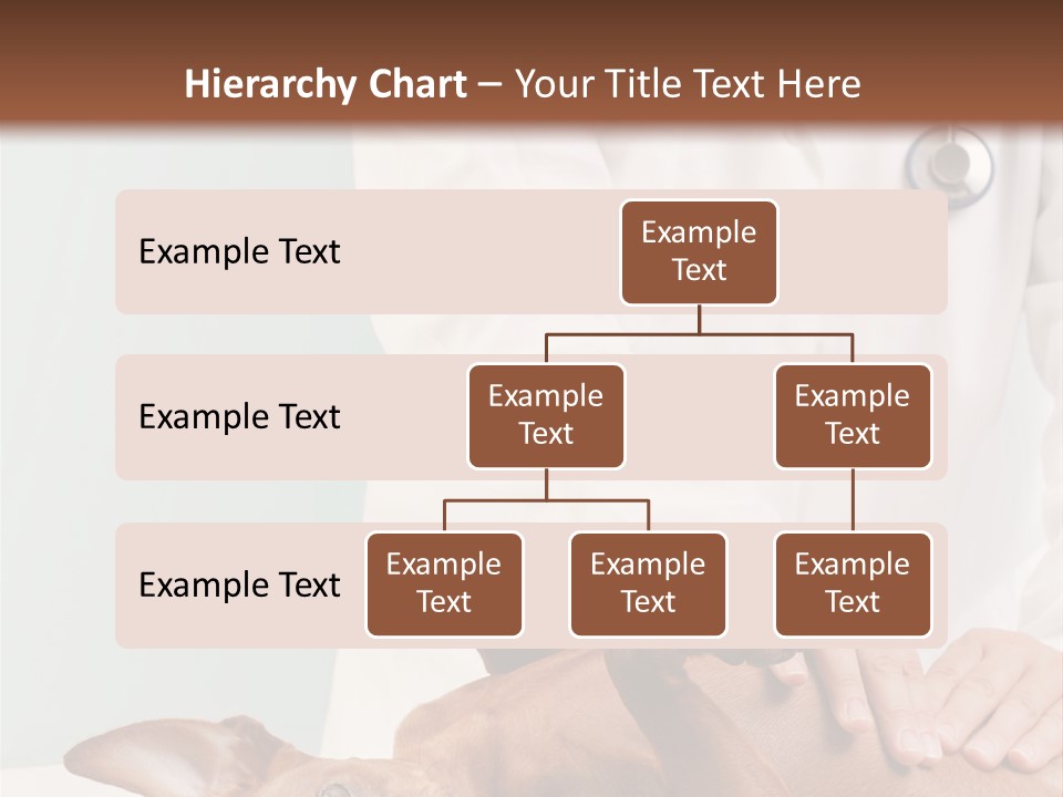 Vet Pet Man PowerPoint Template