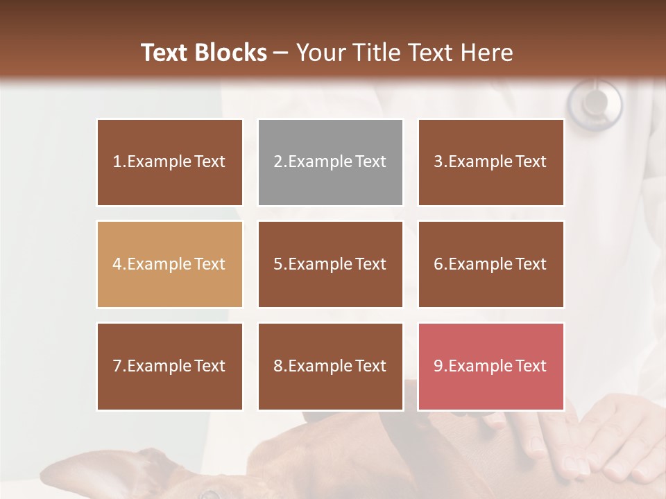 Vet Pet Man PowerPoint Template