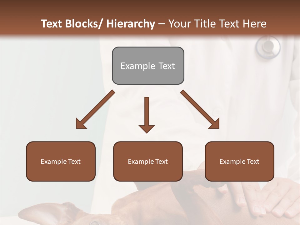 Vet Pet Man PowerPoint Template