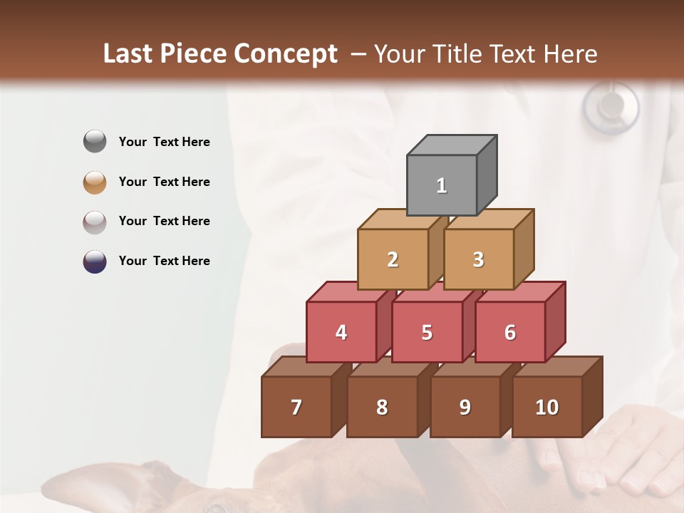 Vet Pet Man PowerPoint Template