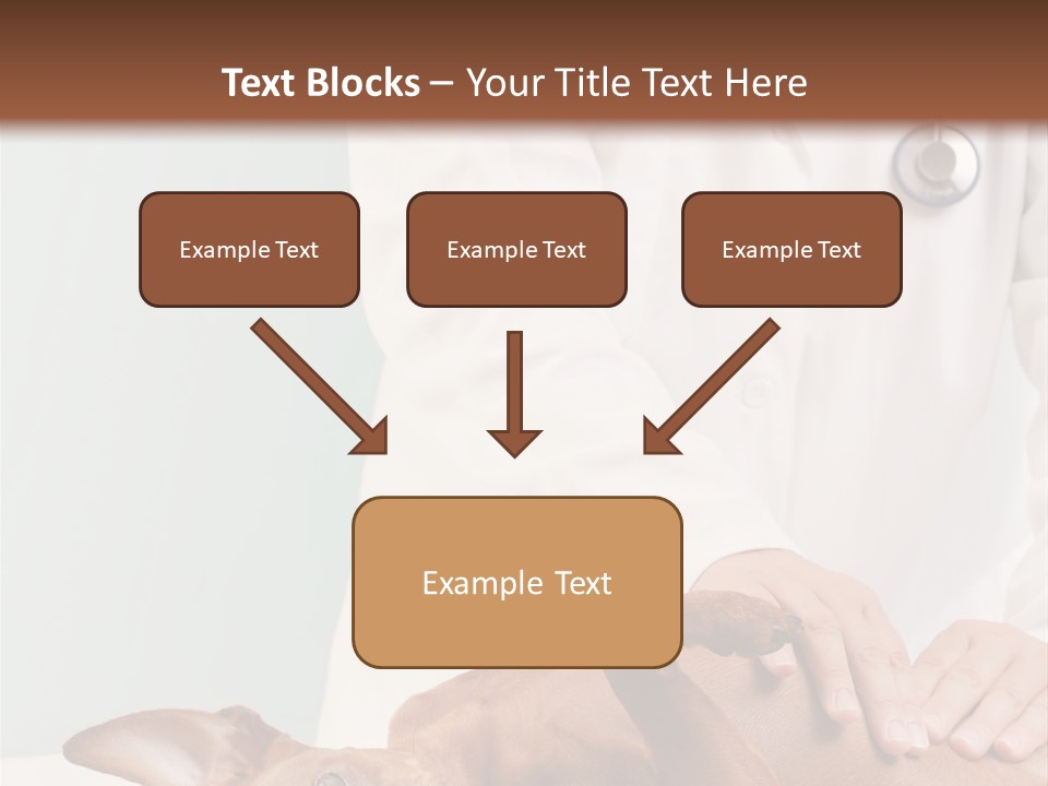Vet Pet Man PowerPoint Template