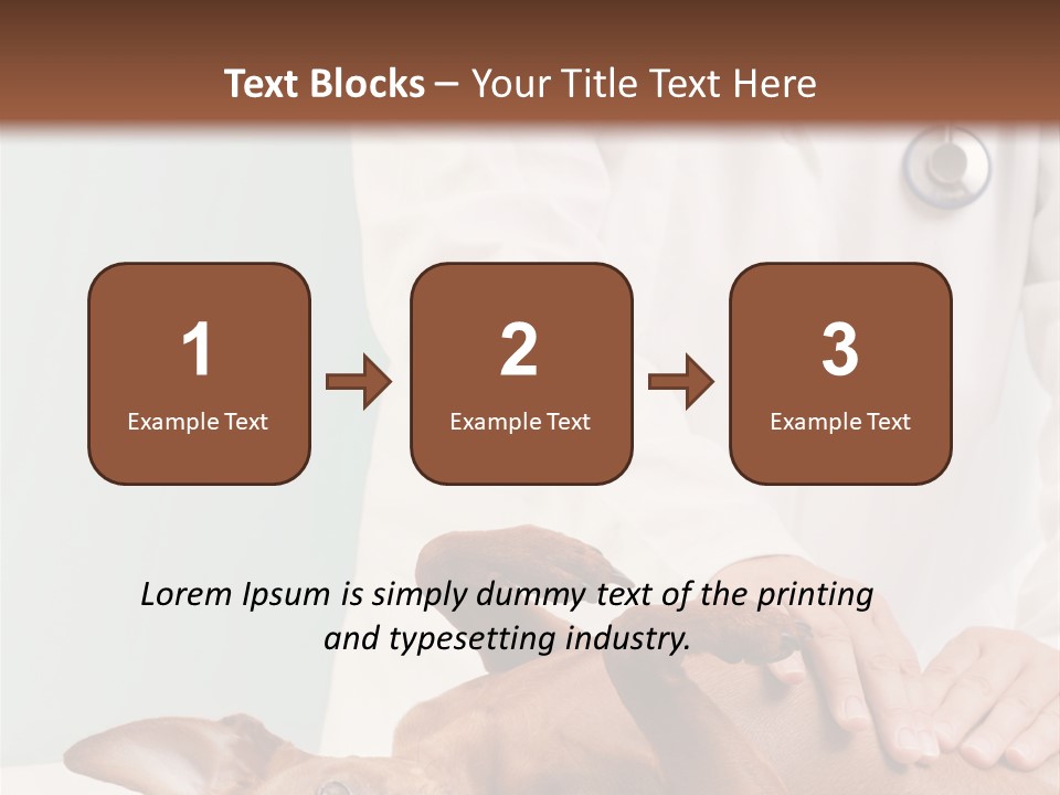 Vet Pet Man PowerPoint Template