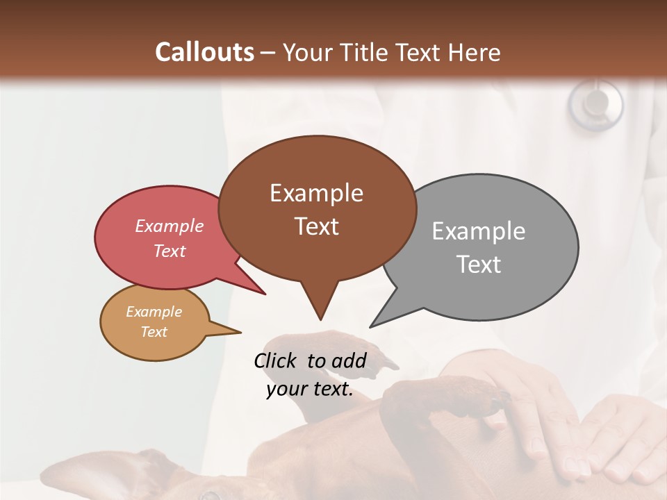 Vet Pet Man PowerPoint Template