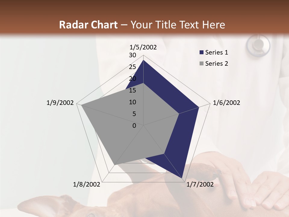 Vet Pet Man PowerPoint Template