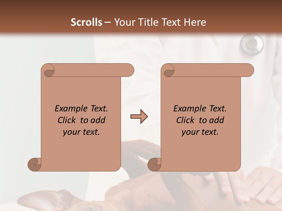 Vet Pet Man PowerPoint Template