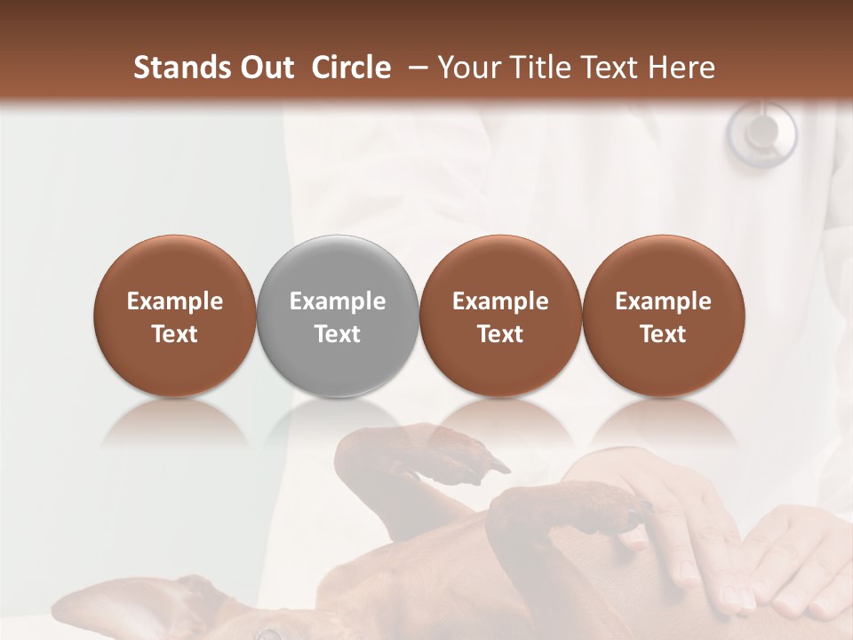 Vet Pet Man PowerPoint Template