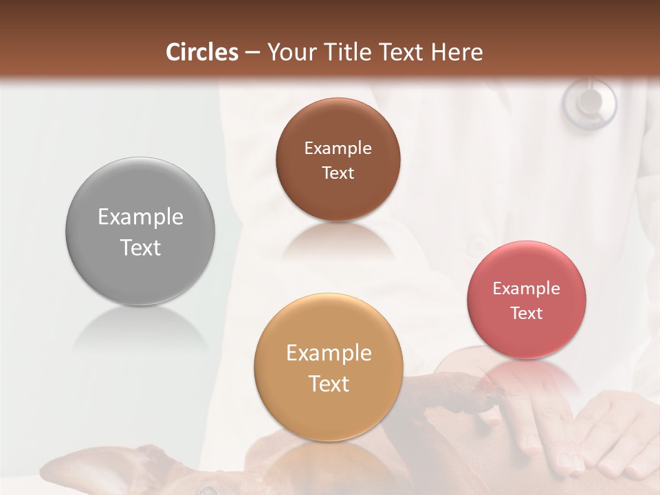 Vet Pet Man PowerPoint Template