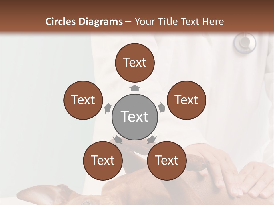 Vet Pet Man PowerPoint Template