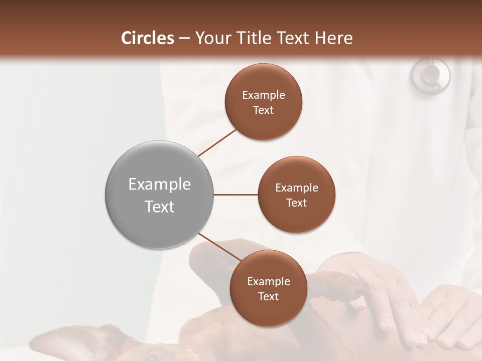 Vet Pet Man PowerPoint Template