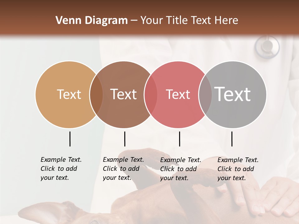 Vet Pet Man PowerPoint Template