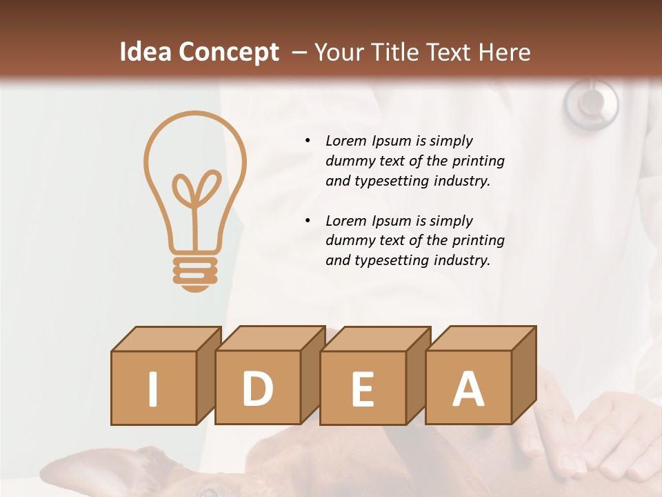 Vet Pet Man PowerPoint Template