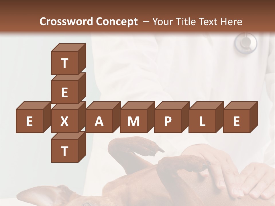 Vet Pet Man PowerPoint Template