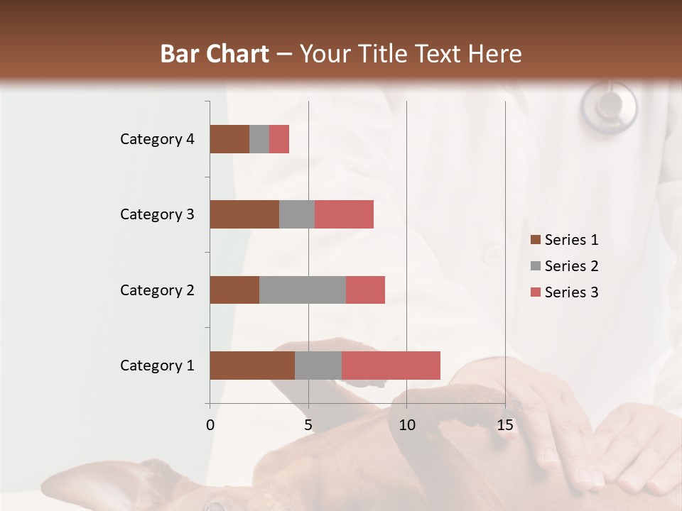 Vet Pet Man PowerPoint Template