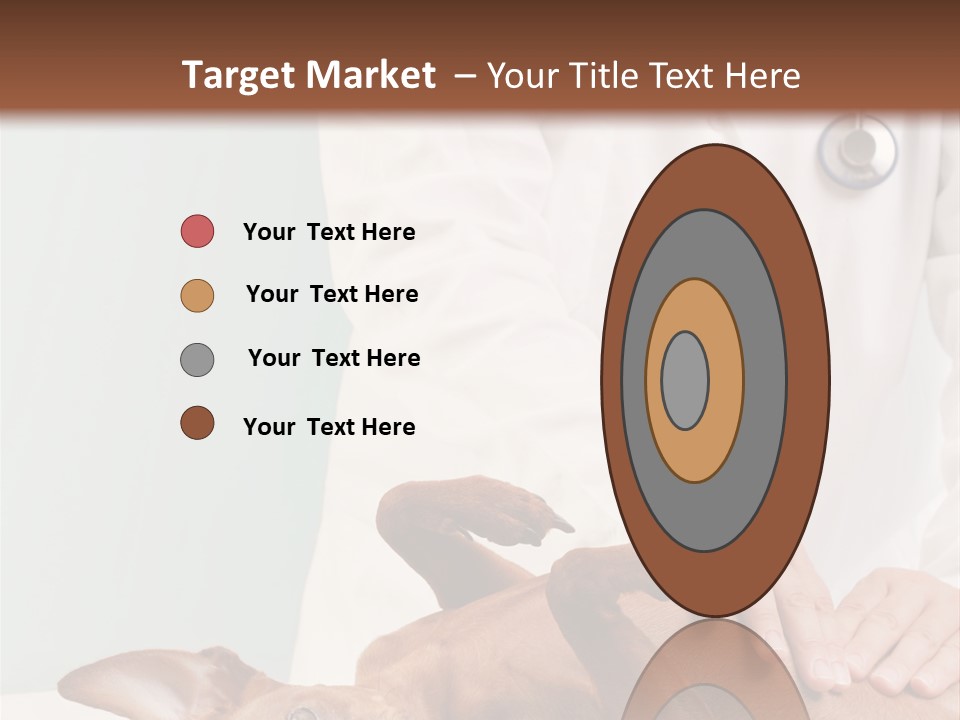 Vet Pet Man PowerPoint Template