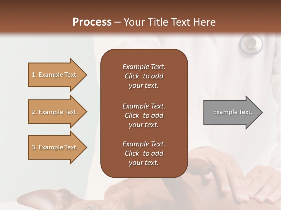 Vet Pet Man PowerPoint Template