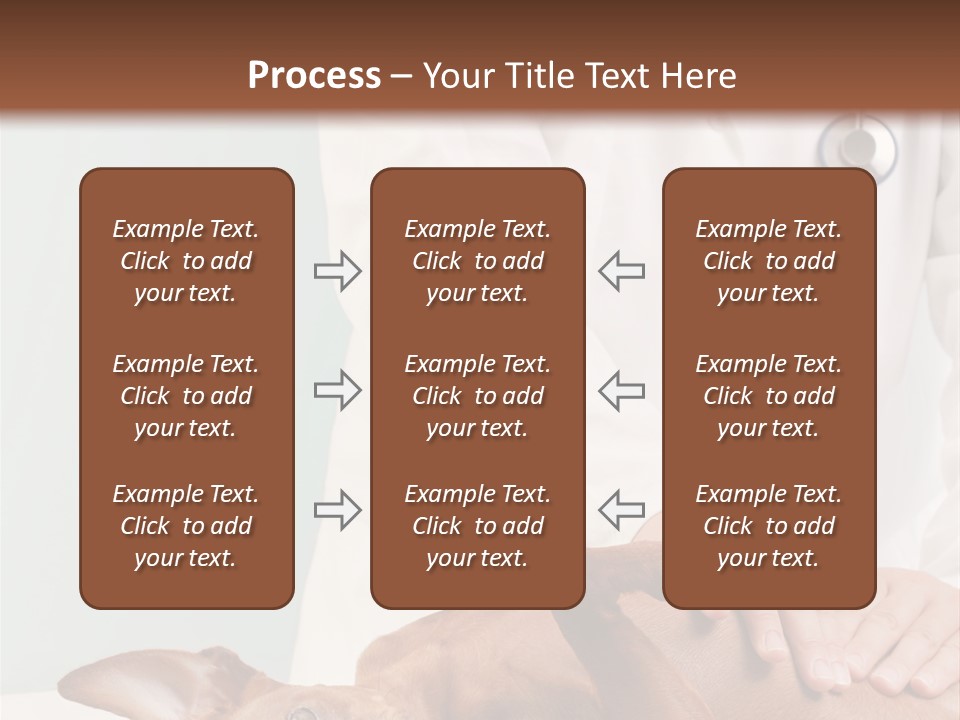 Vet Pet Man PowerPoint Template