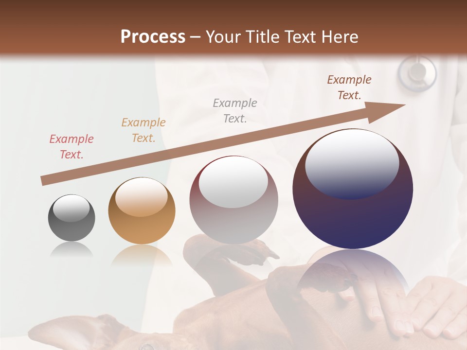 Vet Pet Man PowerPoint Template