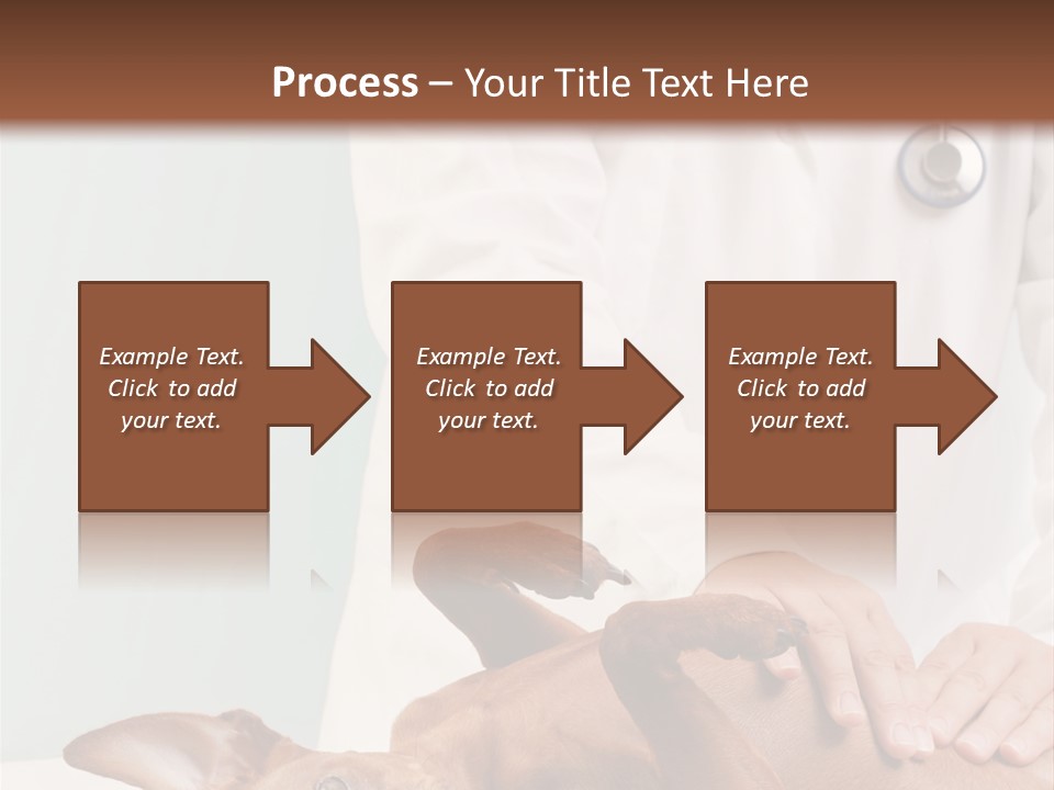 Vet Pet Man PowerPoint Template