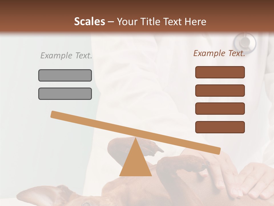 Vet Pet Man PowerPoint Template