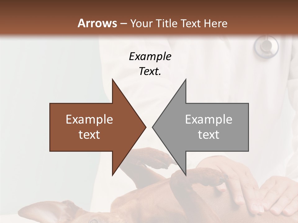 Vet Pet Man PowerPoint Template