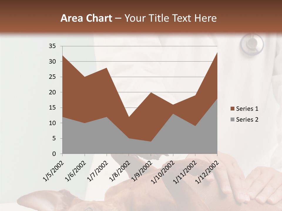 Vet Pet Man PowerPoint Template