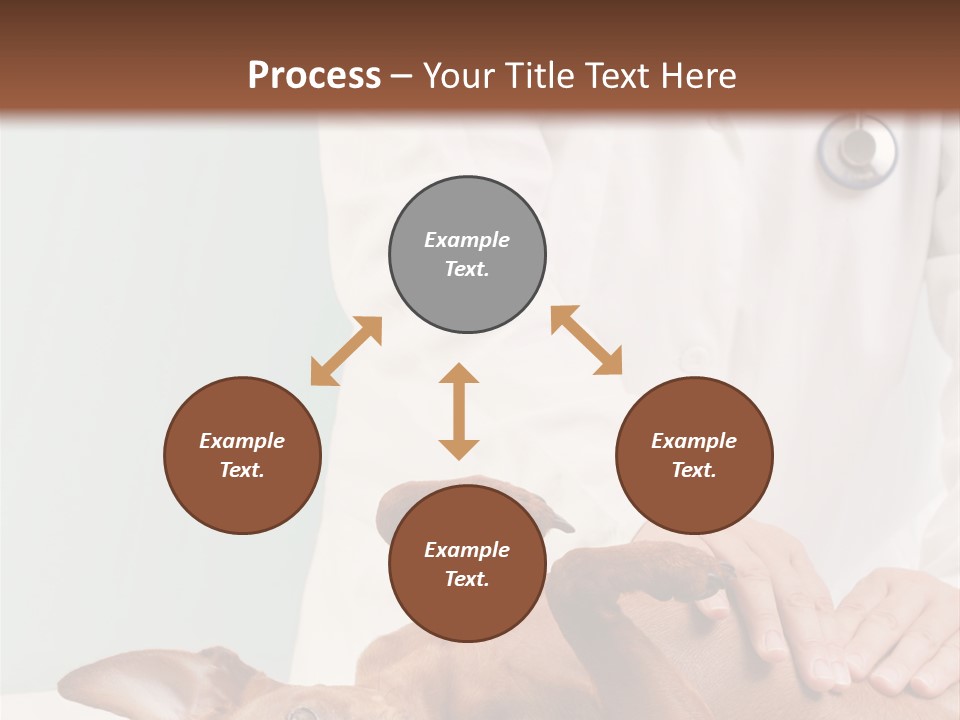 Vet Pet Man PowerPoint Template