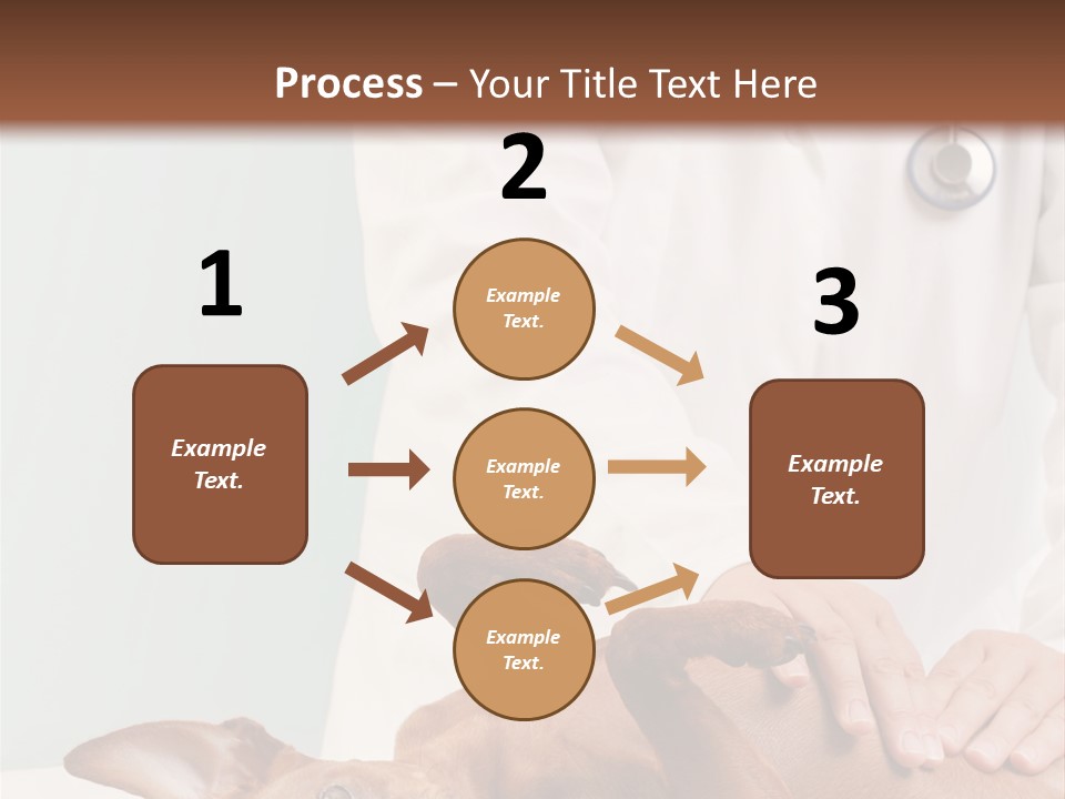 Vet Pet Man PowerPoint Template