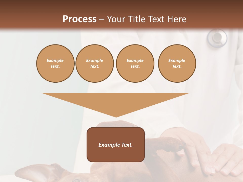 Vet Pet Man PowerPoint Template