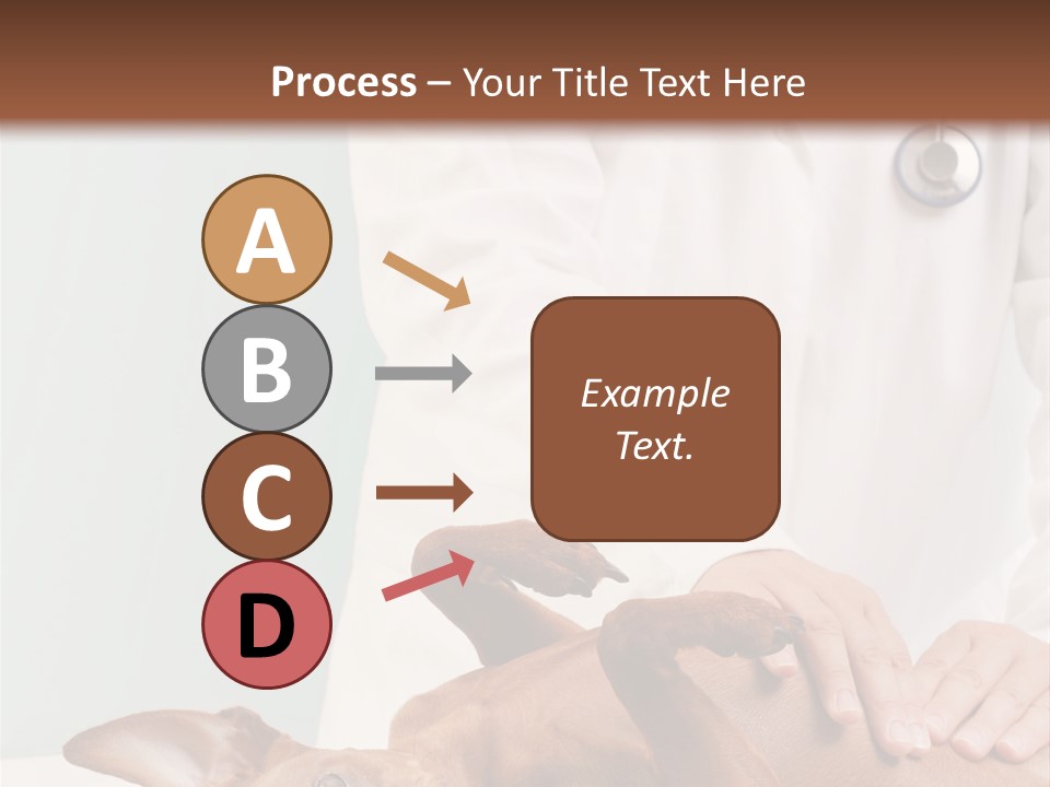 Vet Pet Man PowerPoint Template