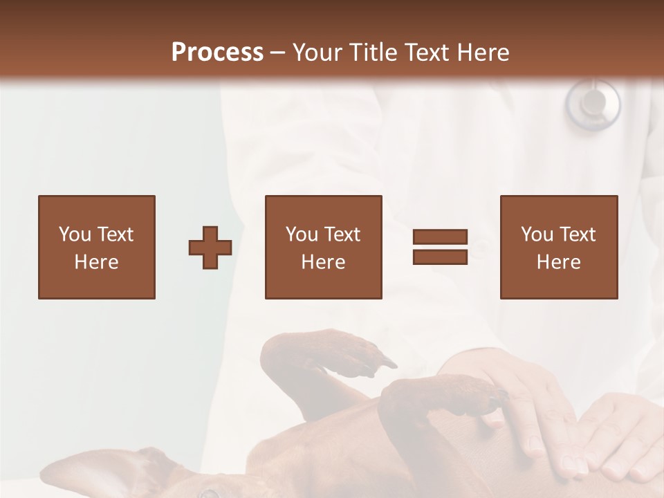 Vet Pet Man PowerPoint Template