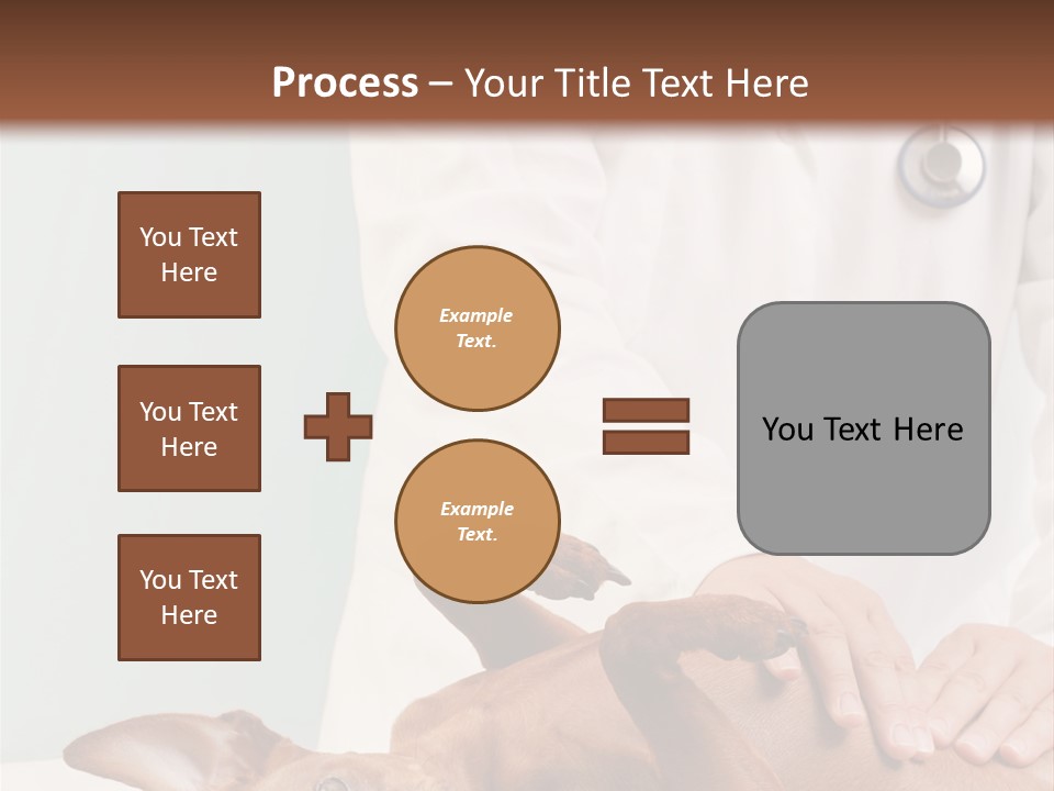 Vet Pet Man PowerPoint Template