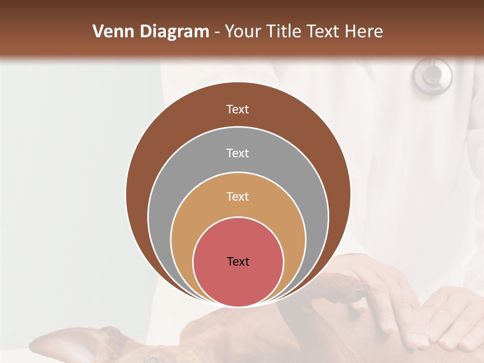 Vet Pet Man PowerPoint Template