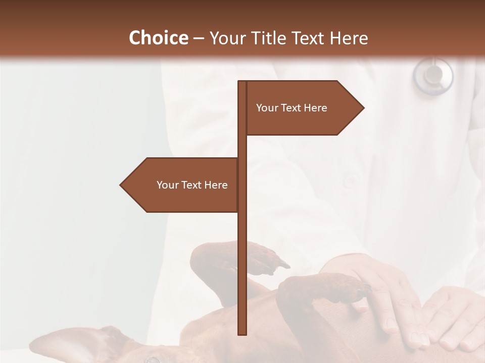 Vet Pet Man PowerPoint Template