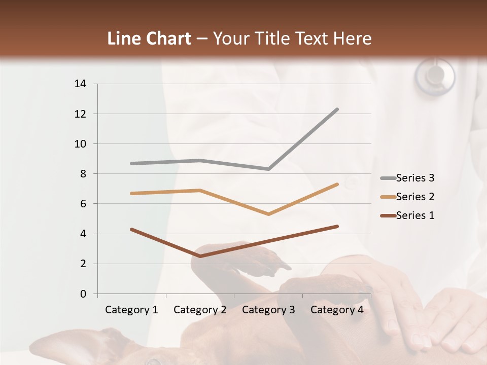 Vet Pet Man PowerPoint Template