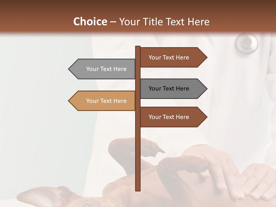 Vet Pet Man PowerPoint Template