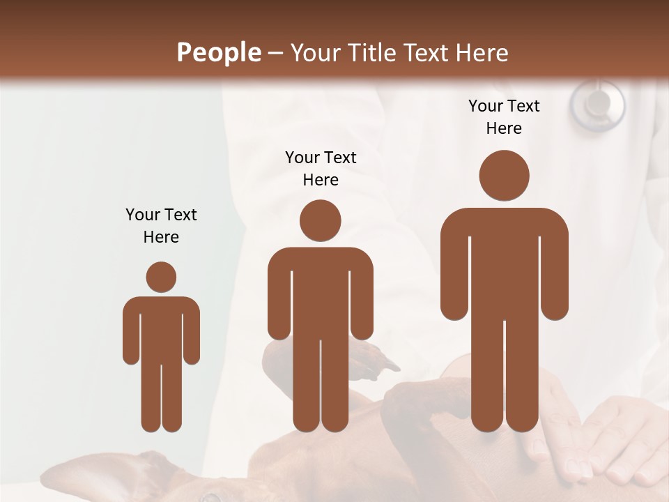 Vet Pet Man PowerPoint Template