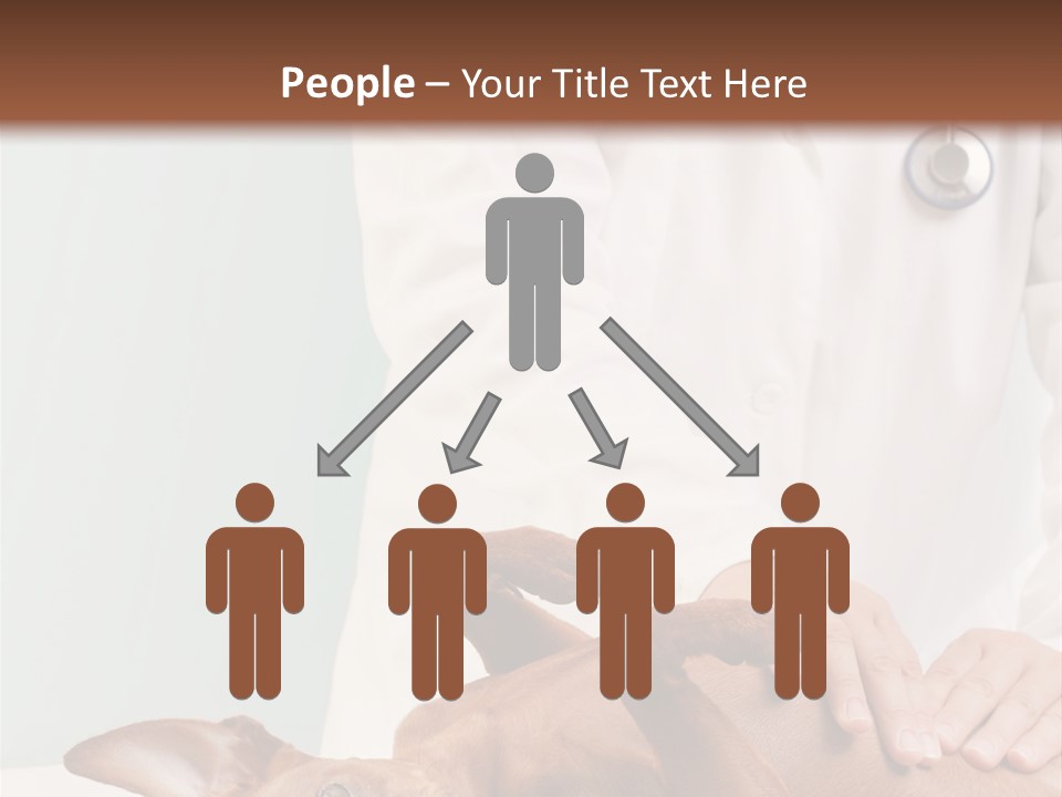 Vet Pet Man PowerPoint Template