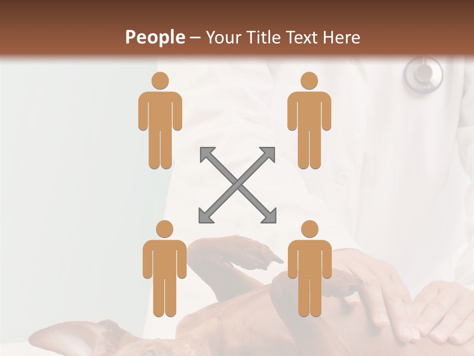 Vet Pet Man PowerPoint Template