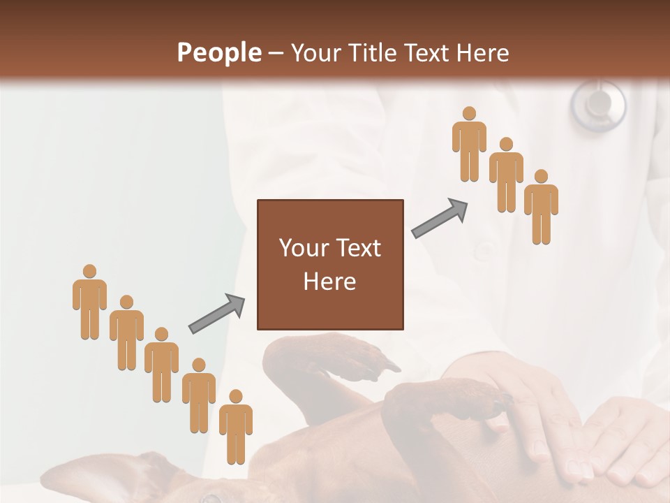 Vet Pet Man PowerPoint Template