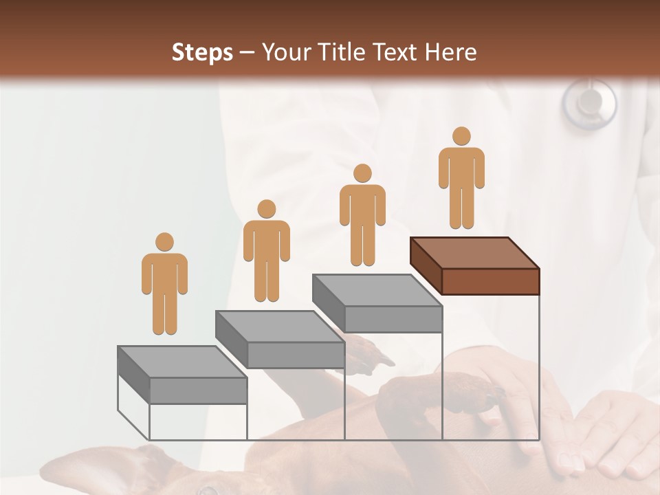 Vet Pet Man PowerPoint Template