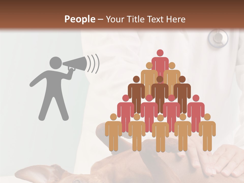 Vet Pet Man PowerPoint Template