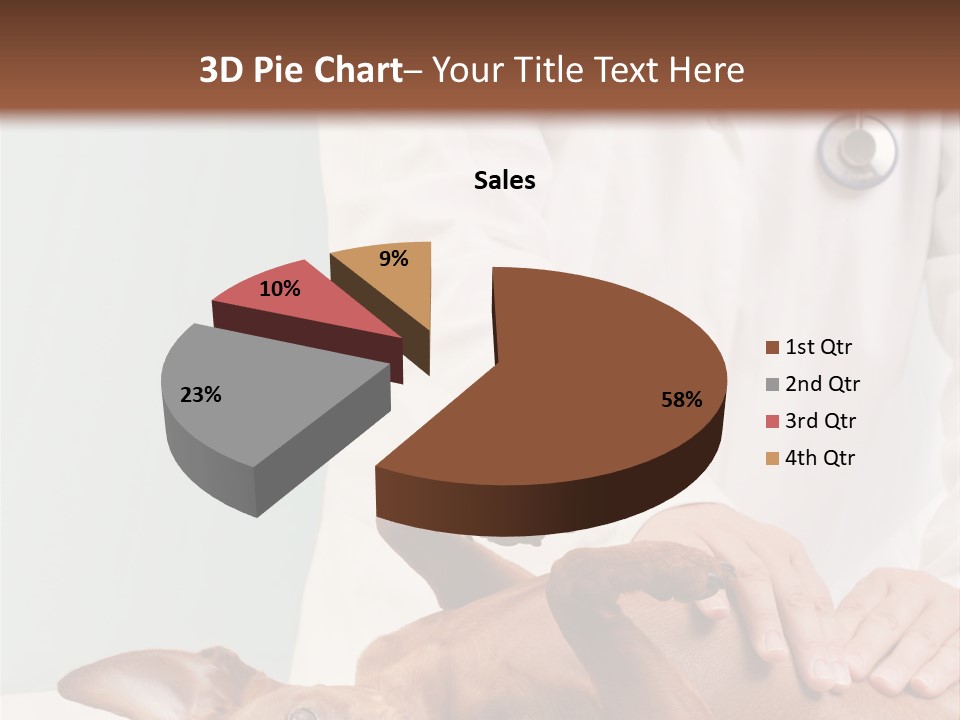 Vet Pet Man PowerPoint Template