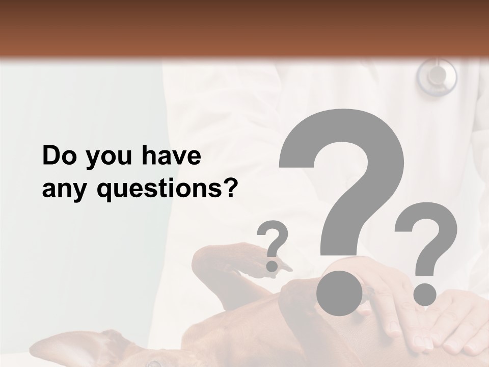 Vet Pet Man PowerPoint Template